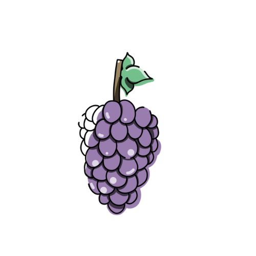 ぶどうのイラスト
