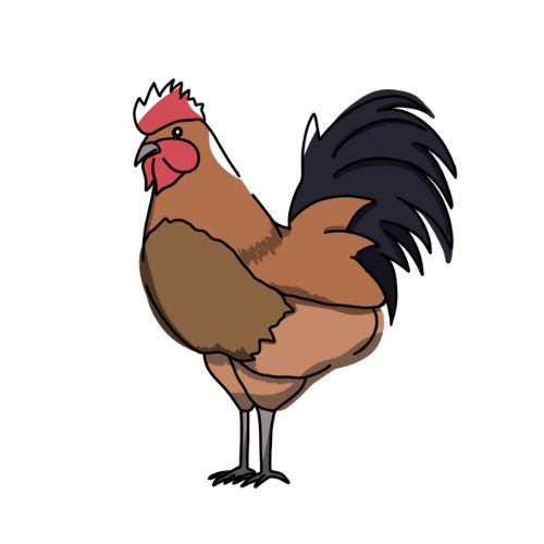 にわとりのイラスト