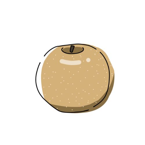 梨のイラスト