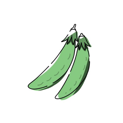 スナップエンドウのイラスト