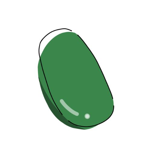 冬瓜のイラスト
