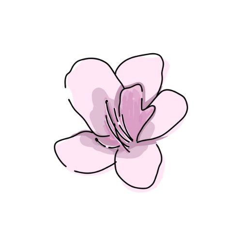 ツツジのイラスト